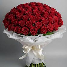 Букет 101 Красная роза Блэк Мэджик в Большом Селе