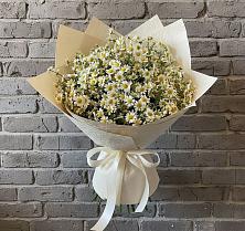 Букет цветов из:  Ромашки в Большом Селе