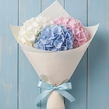 Букет цветов из:  Гортензия в Большом Селе