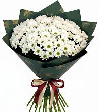 Букет цветов из:  Хризантемы в Большом Селе