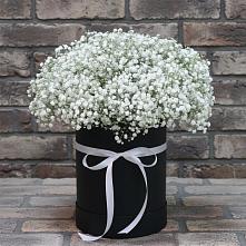 Цветочная композиция из Гипсофила в шляпной коробке в Большом Селе