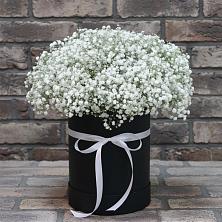 Цветочная композиция из Гипсофила в шляпной коробке в Большом Селе