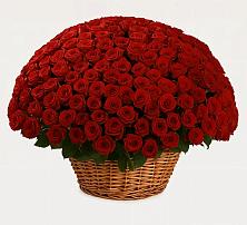 Премиум букет из: Розы в Большом Селе