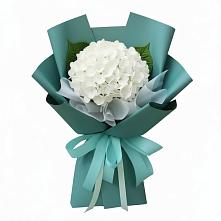 Букет цветов из:  Гортензия в Большом Селе